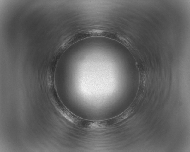 X0000057580568200509161105