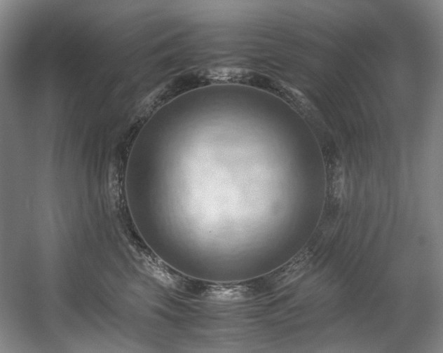 X0000057580569200509161105