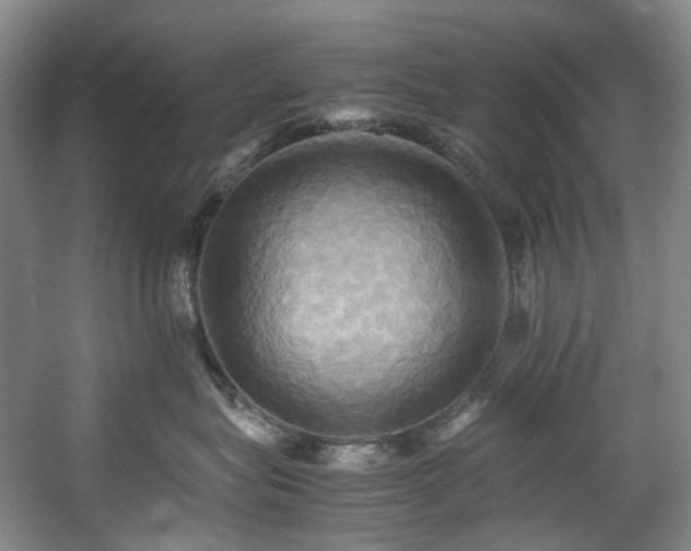 X0000057580575200509161105