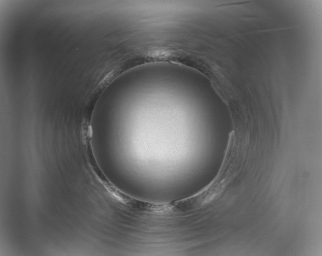 X0000057580576200509161105