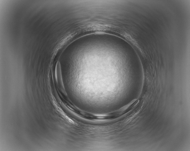 X0000057580581200509161104
