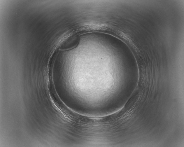X0000057580582200509161104
