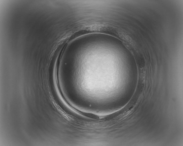 X0000057580589200509161104