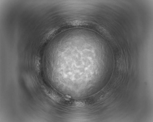 X0000057580592200509161104