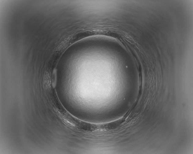 X0000057580593200509161104