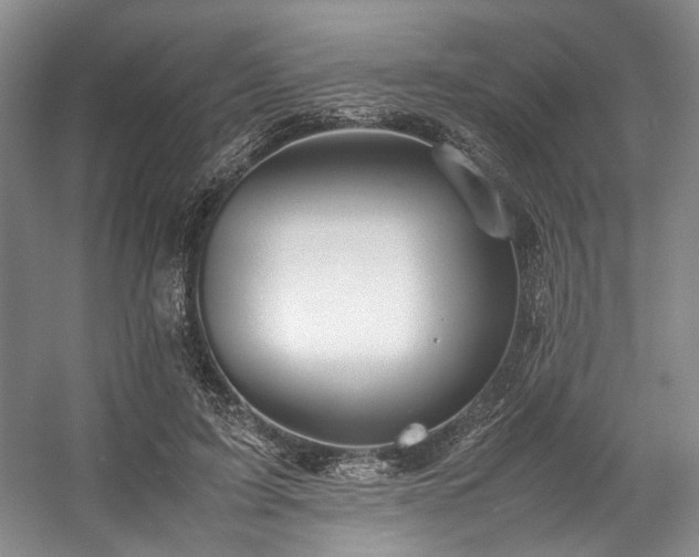 X0000057580595200509161104