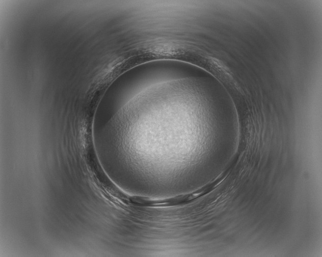 X0000057580596200509161104