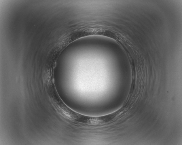 X0000057580605200509161104