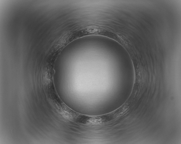 X0000057580606200509161104