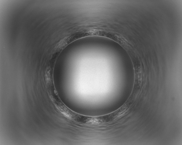 X0000057580611200509161104