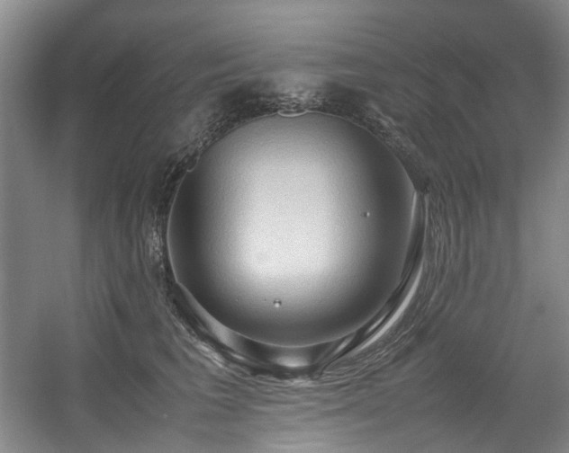 X0000057580613200509161104