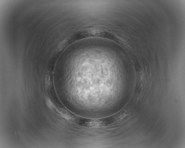 X0000057580615200509161104