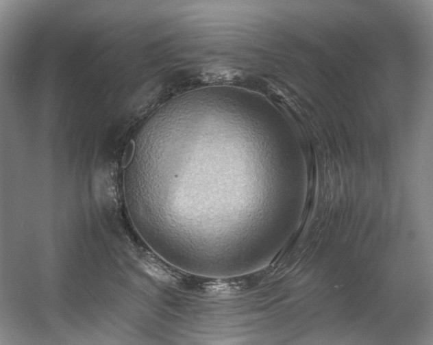 X0000057580616200509161104