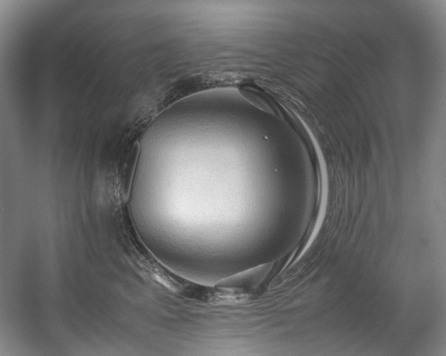 X0000057580617200509161104