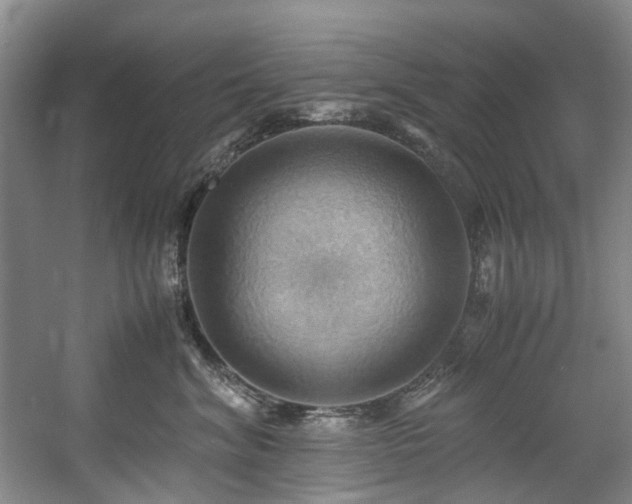 X0000057580620200509161103