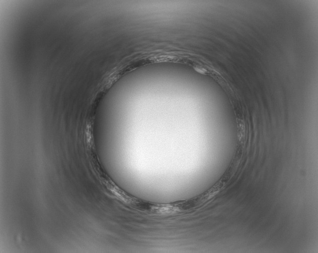 X0000057580621200509161103
