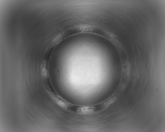 X0000057580622200509161103