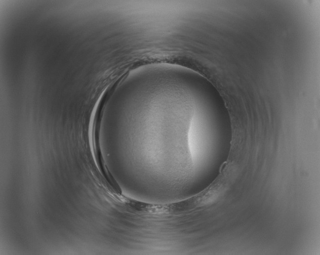 X0000057580624200509161103