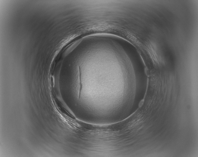 X0000057580626200509161103