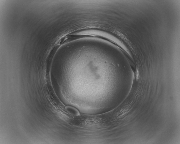 X0000057580627200509161103