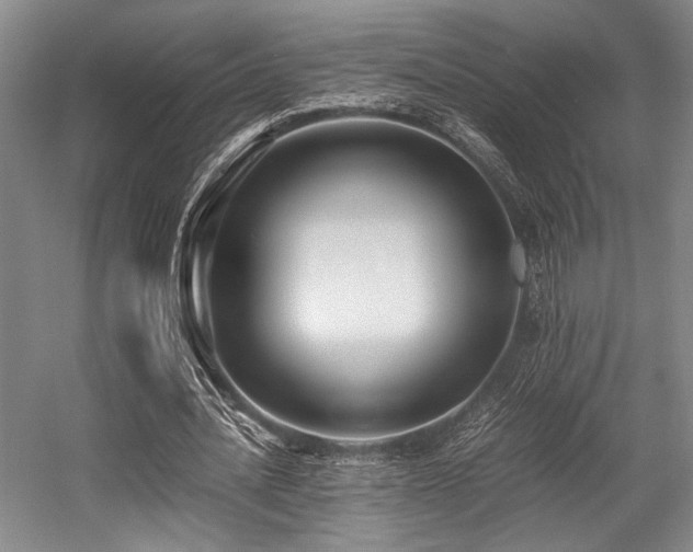 X0000057580628200509161103