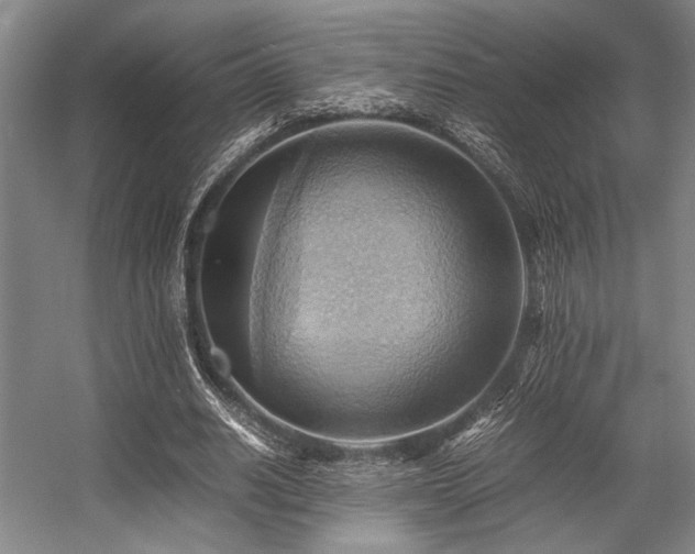 X0000057580630200509161103