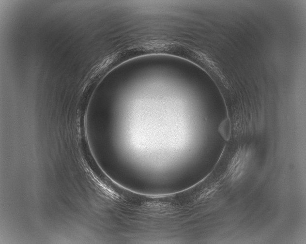 X0000057580633200509161103