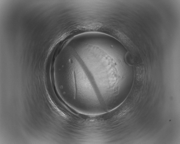 X0000057580634200509161103
