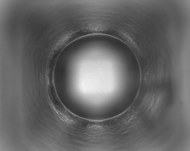 X0000057580635200509161103