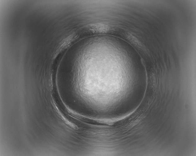 X0000057580638200509161103