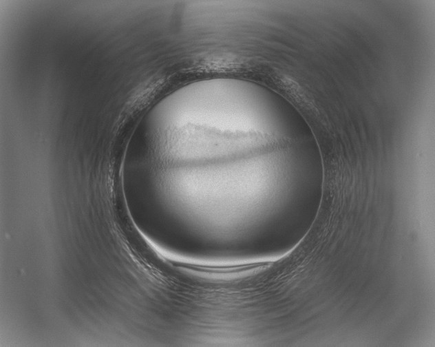 X0000057580640200509161103