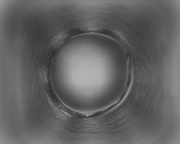 X0000057580643200509161103