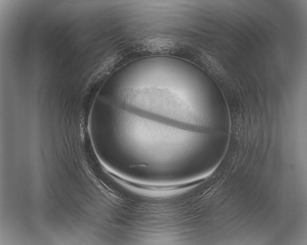 X0000057580644200509161103