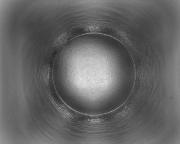 X0000057580645200509161103