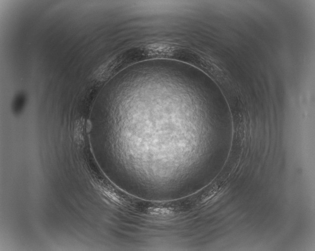 X0000057580649200509161103