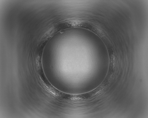 X0000057580650200509161103