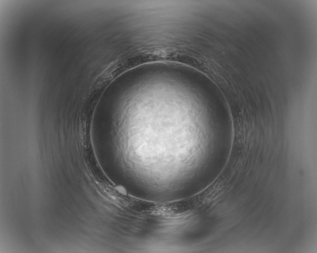 X0000057580656200509161103