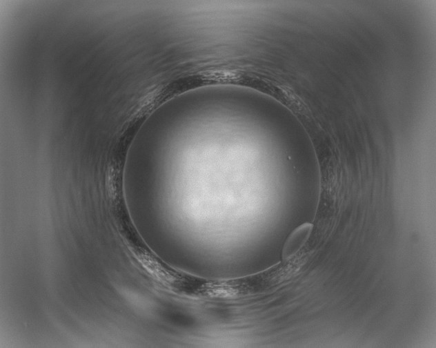 X0000057580658200509161103