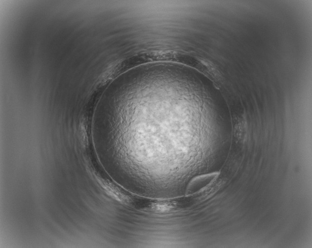 X0000057580662200509161103