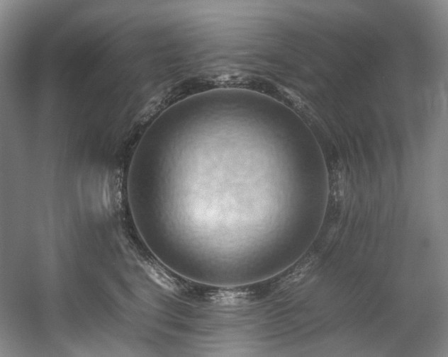 X0000057580664200509161103