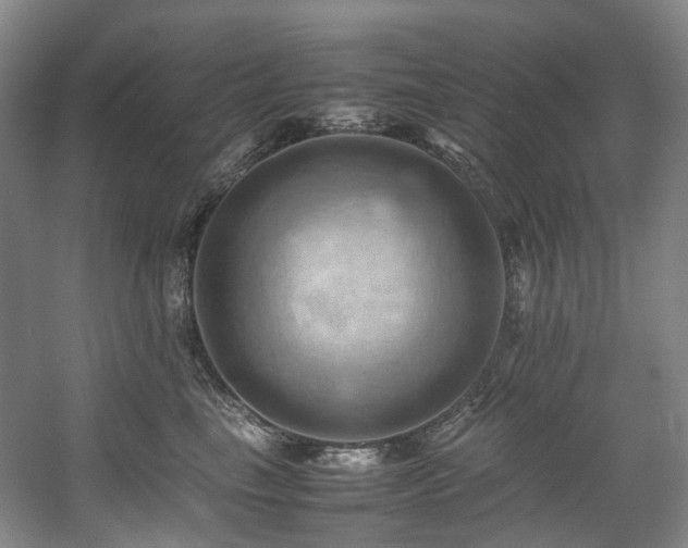 X0000057580665200509161103