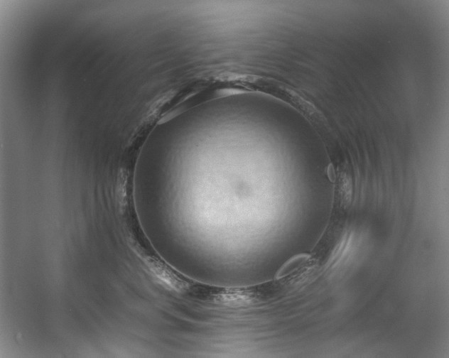 X0000057580668200509161103