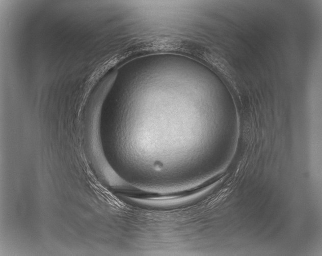 X0000057580673200509161103