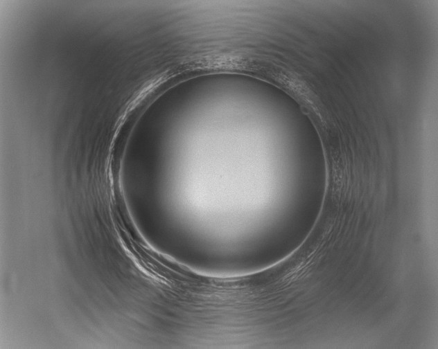 X0000057580674200509161103