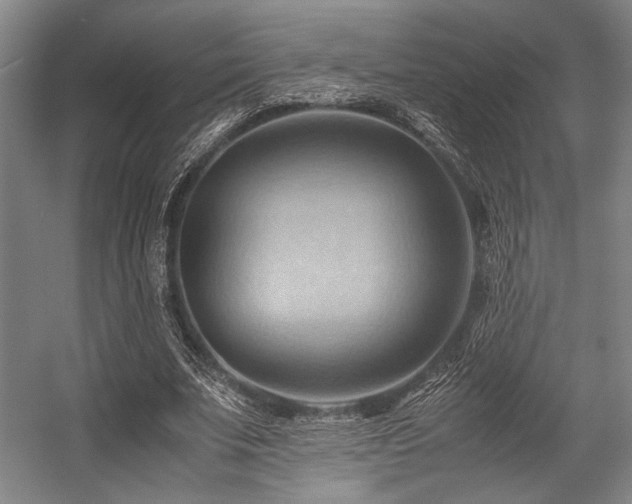 X0000057580679200509161102
