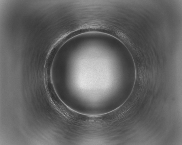 X0000057580680200509161102
