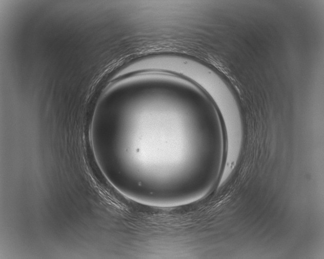X0000057580681200509161102
