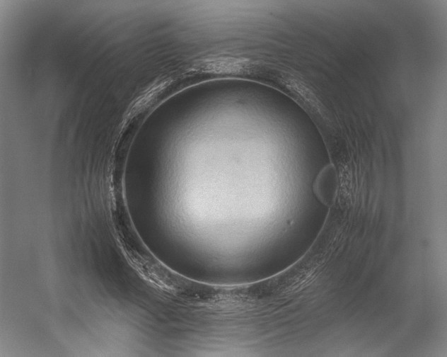 X0000057580682200509161102