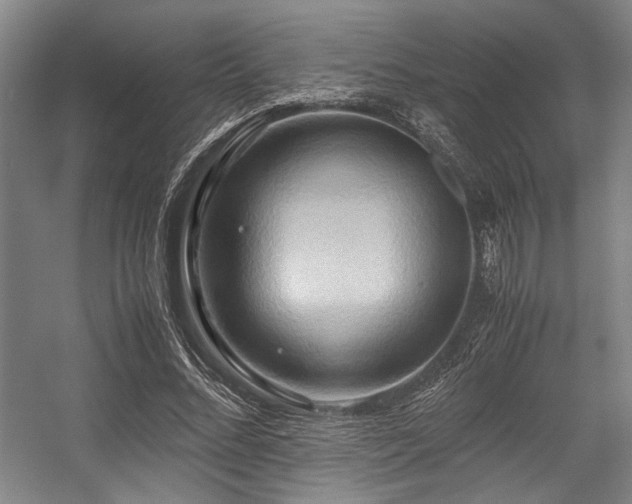 X0000057580684200509161102