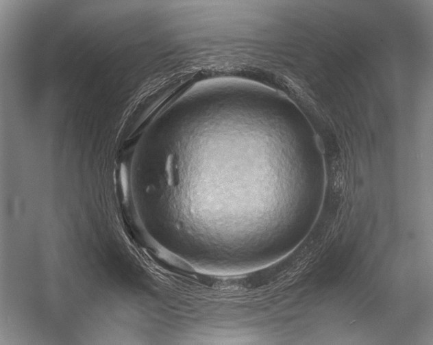 X0000057580685200509161102